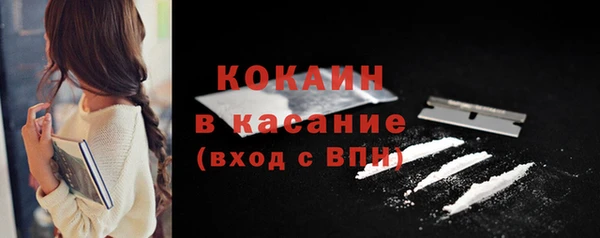 гидра Козловка