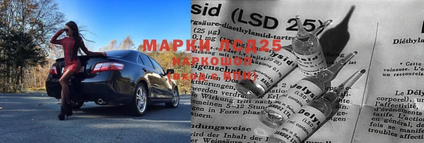 гидра Козловка