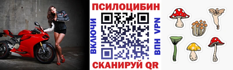 Псилоцибиновые грибы Magic Shrooms  Купить закладки  Долгопрудный 