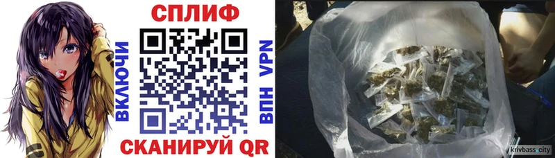 Шишки марихуана Amnesia  Купить закладки  Долгопрудный 